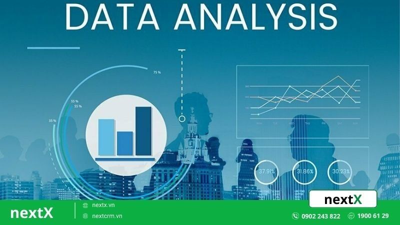 Data Analyst