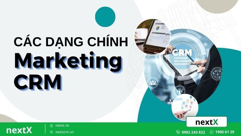 các dạng marketing crm