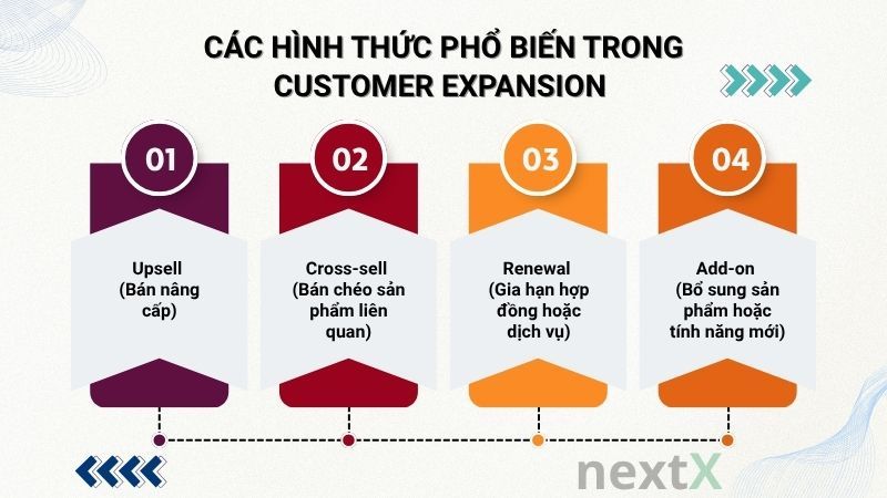 Các hình thức phổ biến trong Customer Expansion là gì?
