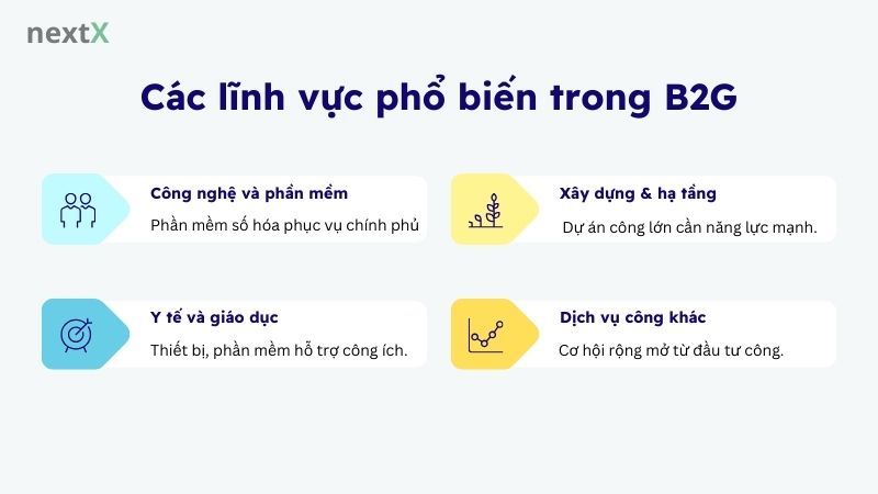 Các lĩnh vực phổ biến trong B2G