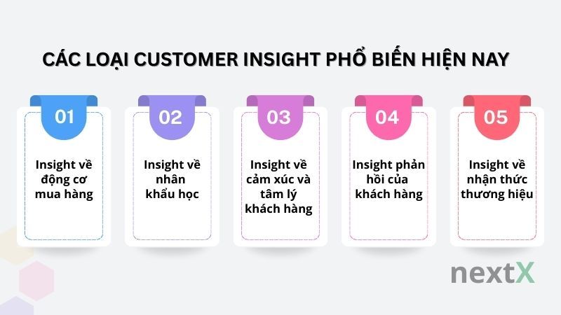 Các loại Customer Insight phổ biến hiện nay