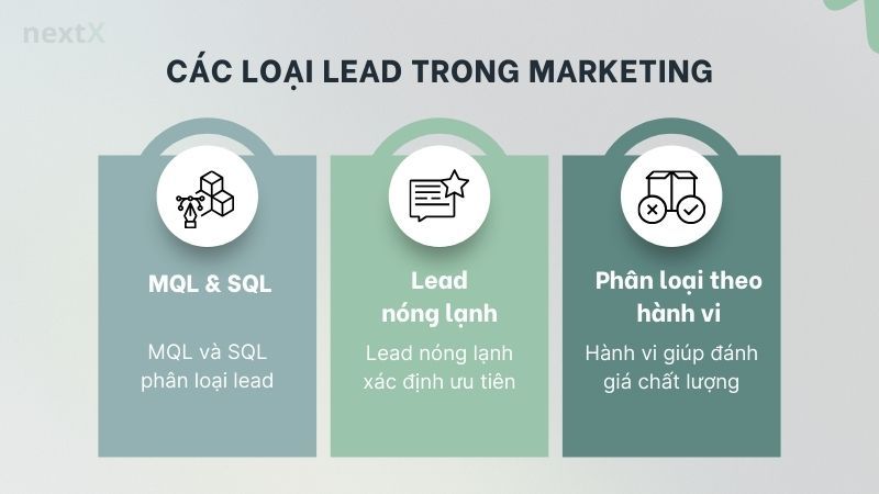 Các loại lead trong marketing