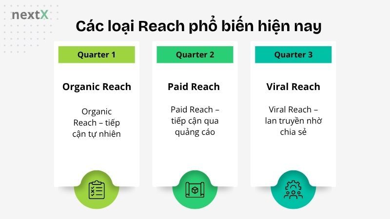 Các loại Reach phổ biến hiện nay