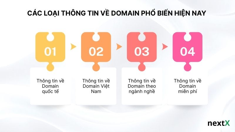 Các loại thông tin về Domain phổ biến hiện nay