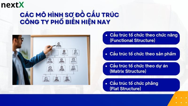 Các mô hình sơ đồ cấu trúc công ty hiện nay