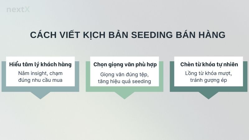 Cách viết kịch bản seeding bán hàng