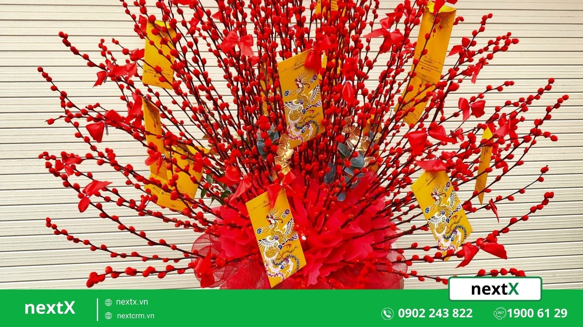 cây cảnh ngày tết