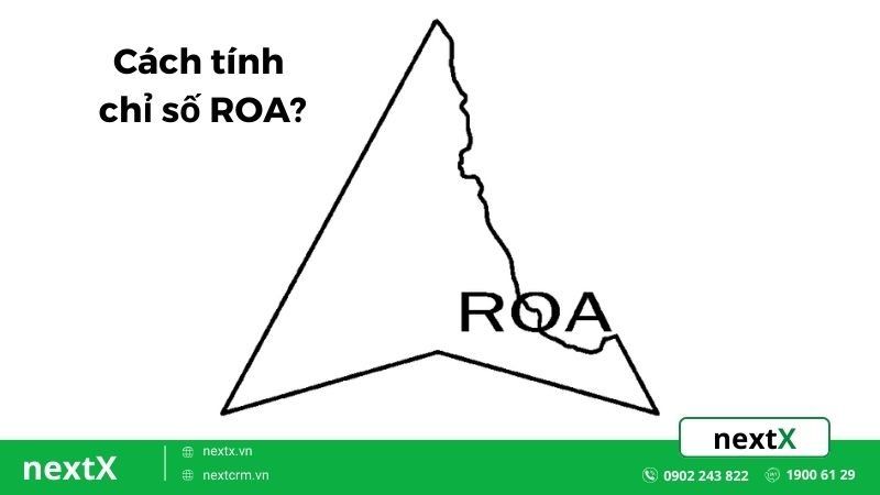 Chỉ số ROA