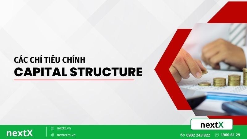 chỉ tiêu cơ cấu vốn
