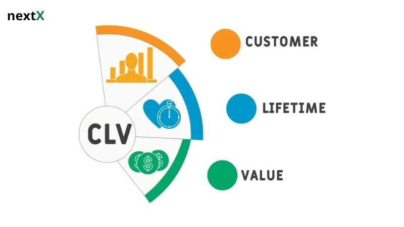Customer Lifetime Value là gì?