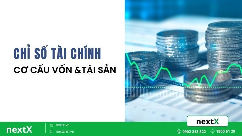 cơ cấu vốn và tài sản