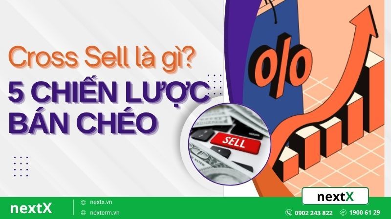 Cross Sell là gì? 5 chiến lược bán chéo giúp tối ưu giá trị đơn hàng