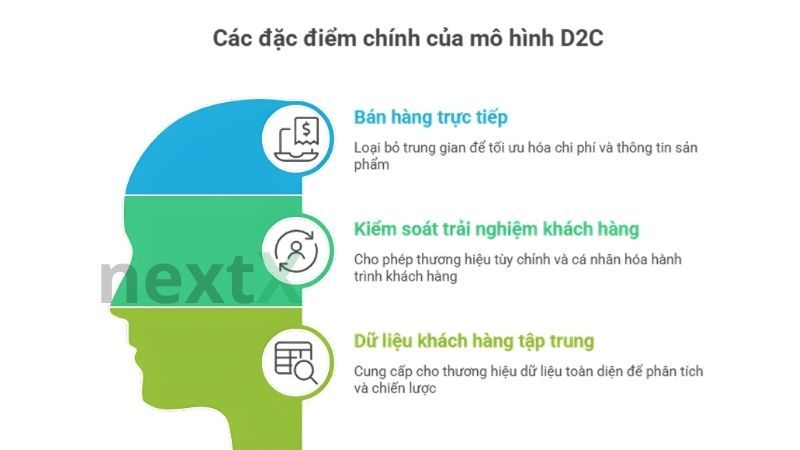 đặc điểm của mô hình d2c