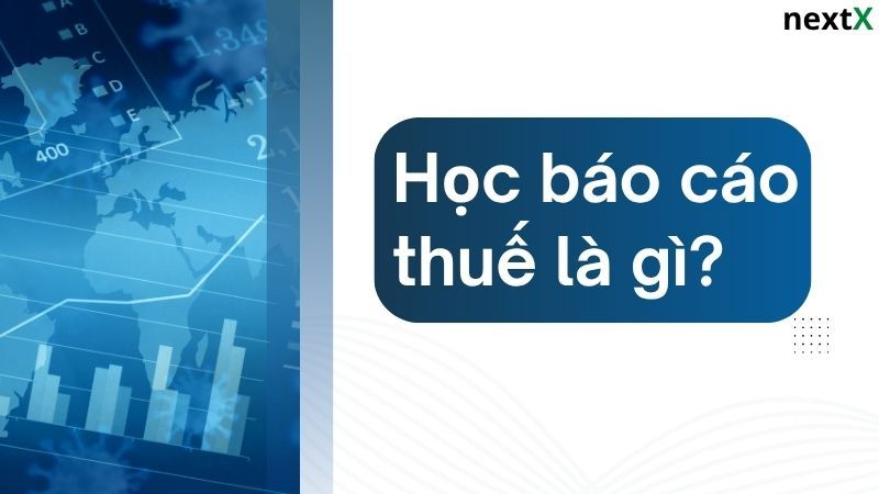 Khái niệm học báo cáo thuế