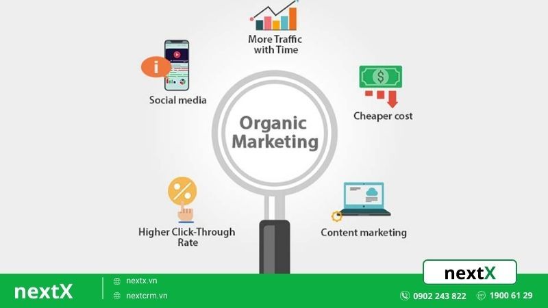 khái niệm organic marketing