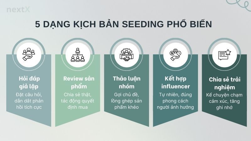 5 dạng kịch bản seeding phổ biến