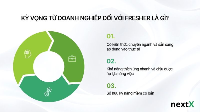 ky-vong-cua-doanh-nghiep-doi-voi-fresher-la-gi