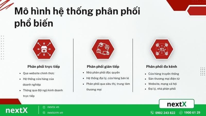 Các mô hình hệ thống phân phối phổ biến