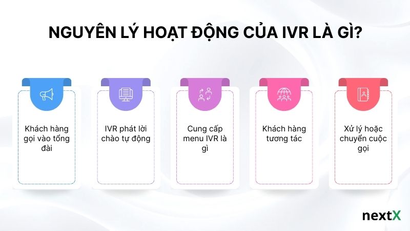 Nguyên lý hoạt động của IVR là gì?