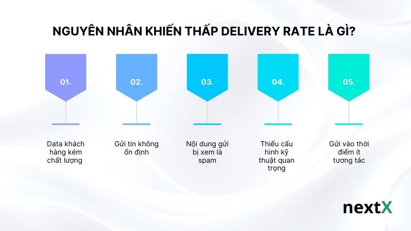 Nguyên nhân khiến thấp Delivery rate là gì?