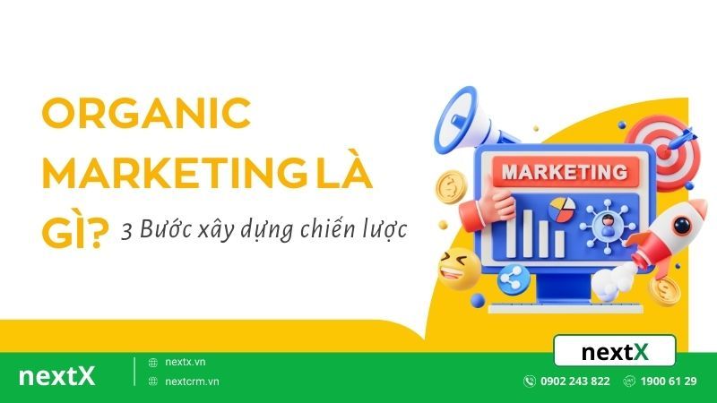 Organic marketing là gì? 3 Bước xây dựng chiến lược tiếp thị hiệu quả