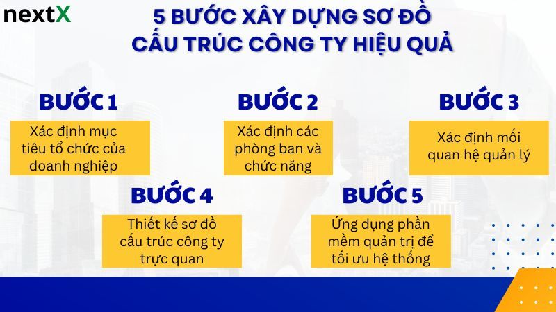 5 bước quy trình xây dựng cấu trúc công ty hiệu quả