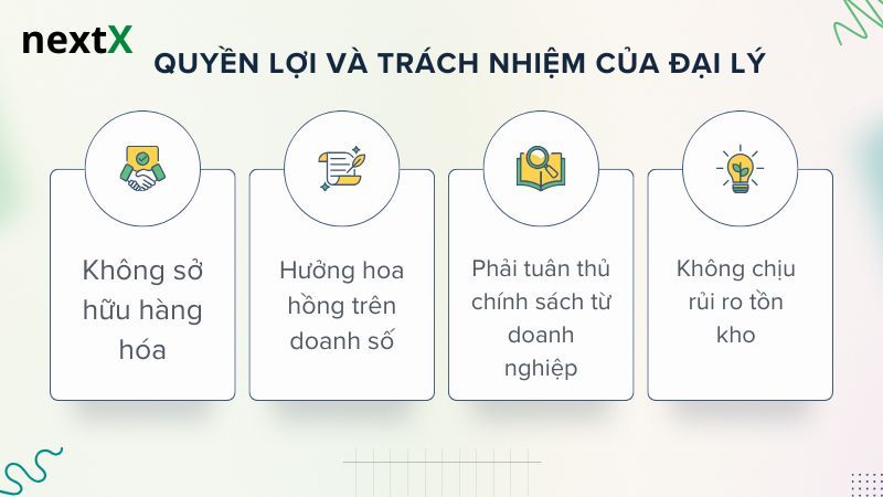 Quyền lợi và trách nhiệm của Đại lý 