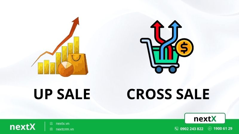 su-khac-biet-giua-cross-sale-va-up-sale-la-gi