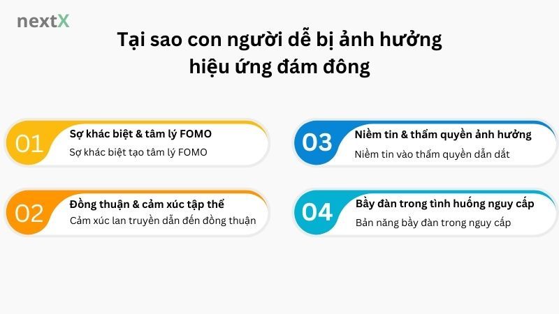 Tại sao con người dễ bị ảnh hưởng hiệu ứng đám đông