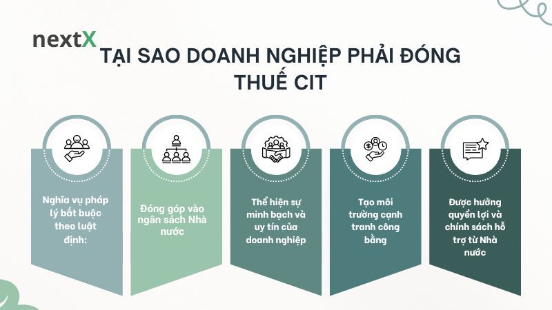 Tại sao doanh nghiệp phải đóng thuế CIT