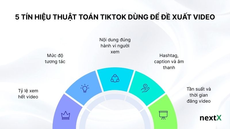 5 tín hiệu thuật toán TikTok dùng để đề xuất video