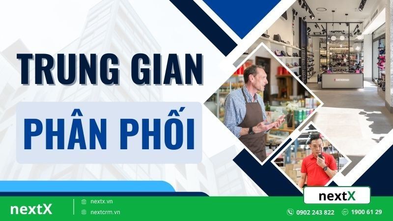 trung gian phân phối