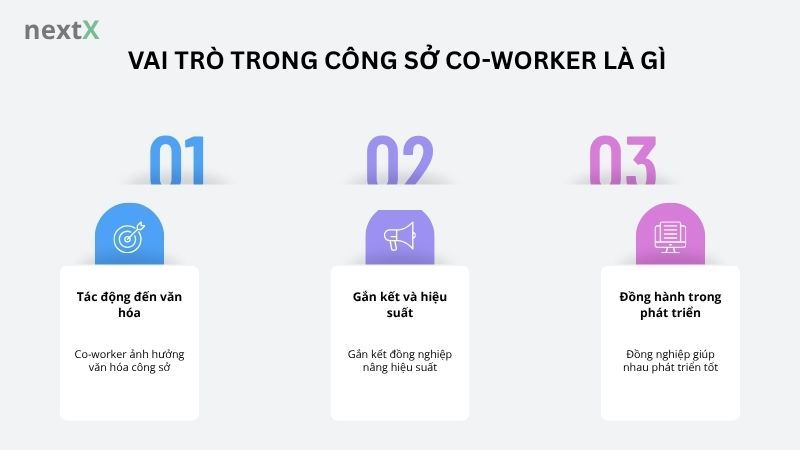 Vai trò trong công sở co-worker là gì 