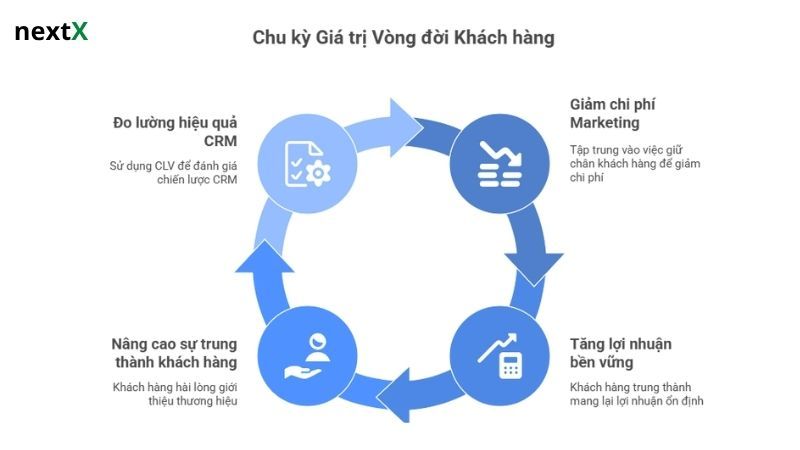 Tại sao Customer Lifetime Value quan trọng với doanh nghiệp?