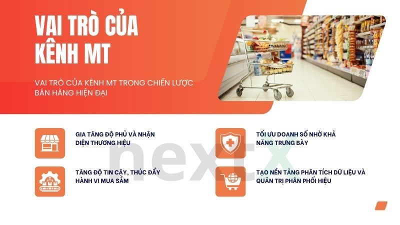 Vai trò của kênh MT trong chiến lược bán hàng hiện đại