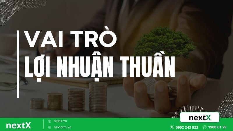vai trò lợi nhuận thuần
