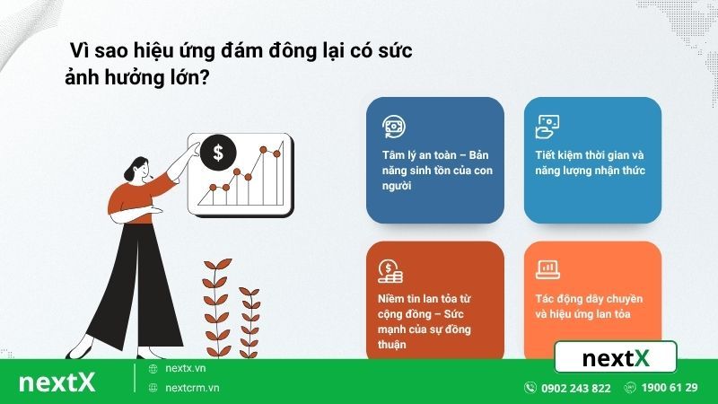 vì sao hiệu ứng đám đông lại có sức ảnh hưởng
