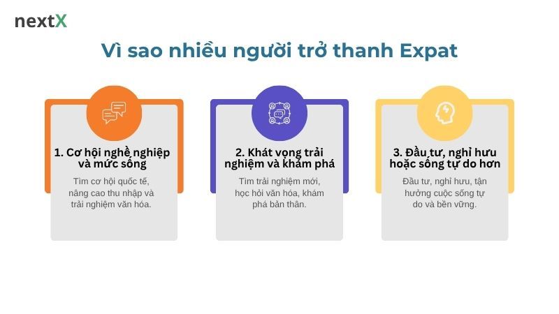 Vì sao nhiều người trở thanh Expat